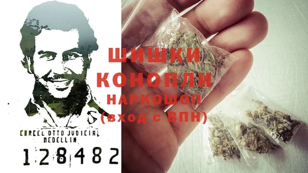 прущие крисы Верея