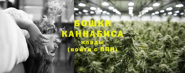 прущие крисы Верея